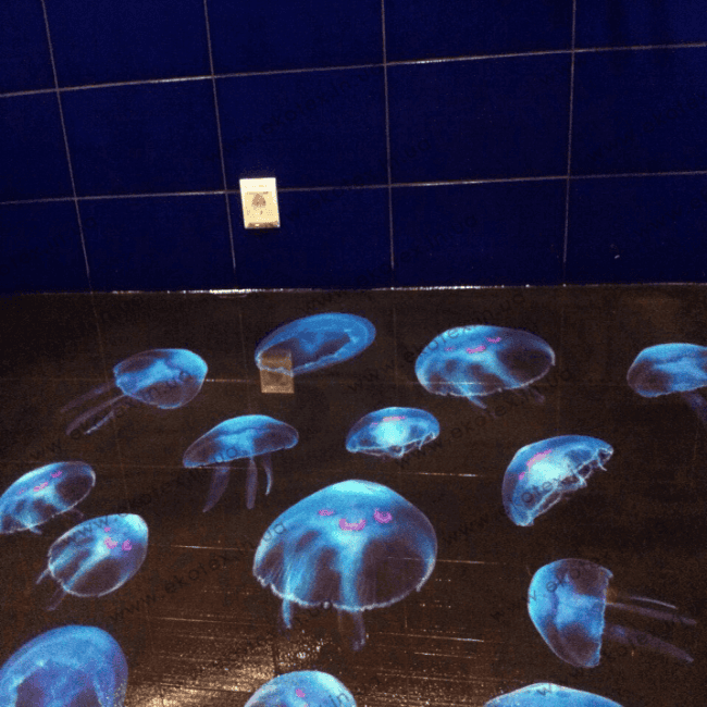 Наливна підлога Lux/ex-301