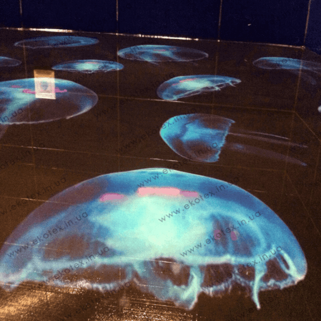 Наливна підлога Lux/ex-301