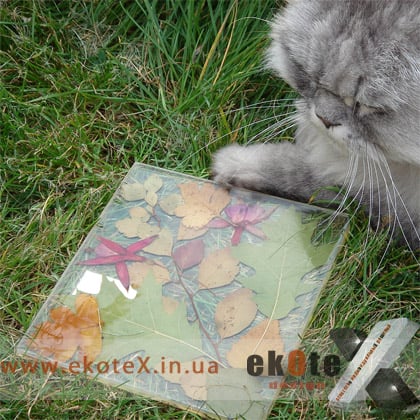 Эксклюзивные столешницы